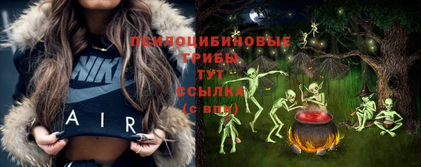 герыч Алзамай