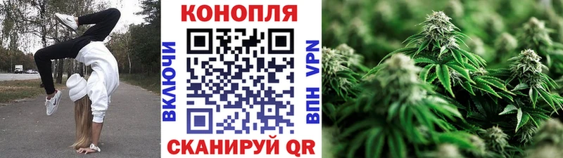 Марихуана Bruce Banner закладка Томари